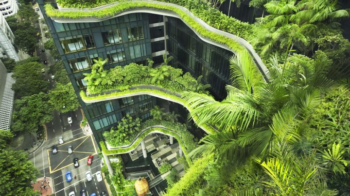 Giải pháp kiến trúc 2021: Thi công vườn đứng đơn giản