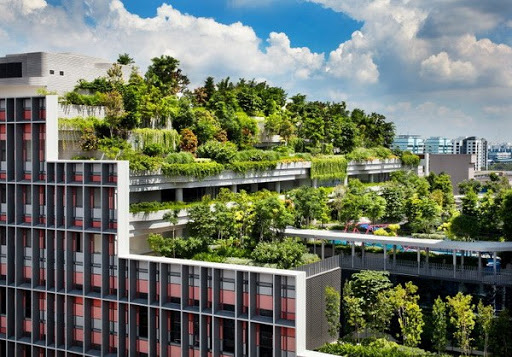 Cần chú ý gì khi giá chung cư ở Singapore tăng nhiệt?